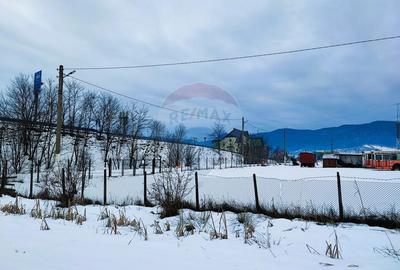 Teren intravilan de 9574 mp, în Est - 3