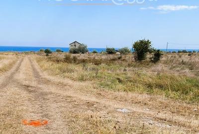 Teren agricol intravilan de 12600 mp, în Nord - 2