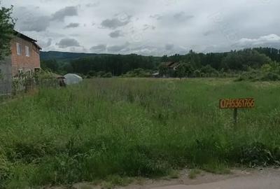 Teren de 3055 mp, în Bujoreni