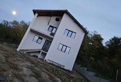 Casă cu 4 camere cu Teren 140 Mp în Petrișor - 2