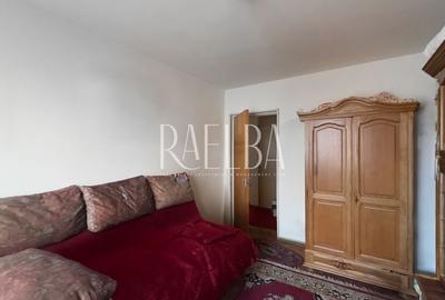 Apartament cu 3 camere semidecomandat în Teiul Doamnei - 18