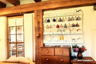 Casa rustica, exclusivista, 5 camere, 170 mp utili, 550 mp teren, Salicea - 5