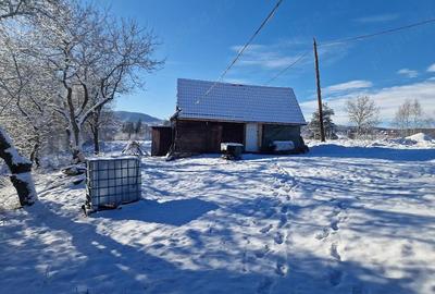 Teren de 10000 mp, în Râșca - 7
