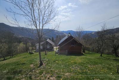 Casă cu 2 camere în Albac - 3