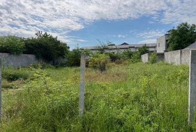 Teren Ghencea- Dantelei- Darvari. - 1