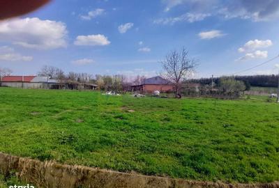 Spațiu comercial, în Buturugeni