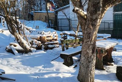 Casă cu 8 camere cu Teren 1034 Mp în Cioplea - 14