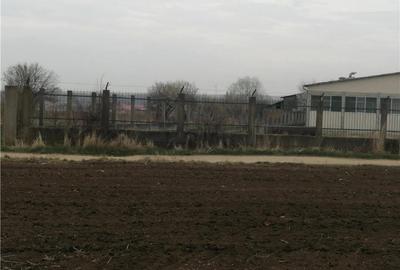 Teren de 8800 mp, în Vinerea - 1