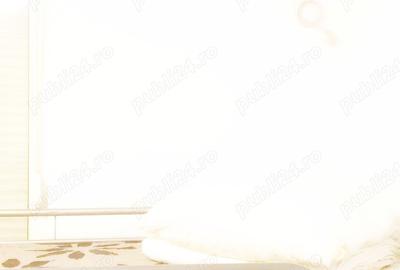 Cazare muncitori in elisabetin, zona apropiata de zona cal. sagului - 3