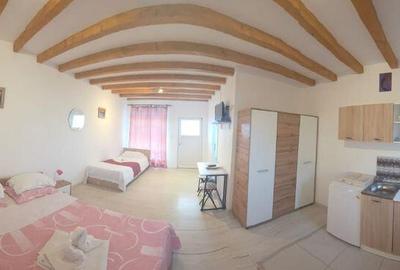 Pensiune Retrasa Ideala Petreceri Private Costinesti - Sc... - 3