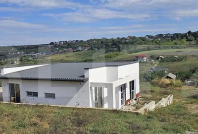 Casă cu 4 camere cu Teren 500 Mp în Vișani - 4