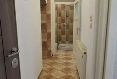 Apartament cu 2 camere decomandat, mobilat în Ferdinand - 7