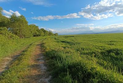 Teren extravilan arabil 20.000 mp Cristian Teren extravilan arabil 20.000 mp Cristian - 7