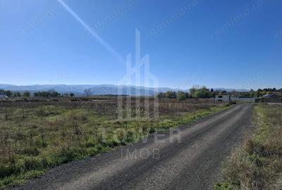 Teren de 2184 mp, în Turnișor - 12