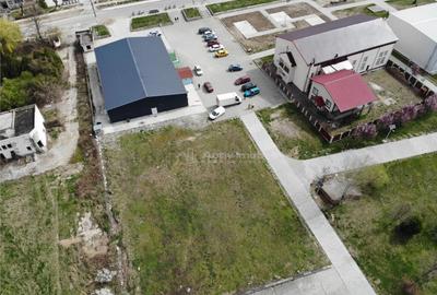 Moldova Noua, Teren Drept Intravilan 1628 Mp., pe malul Duna - 13