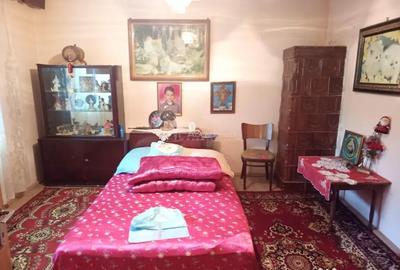 Casă cu 14 camere cu Teren 1439 Mp în Brădișoru de Jos - 11