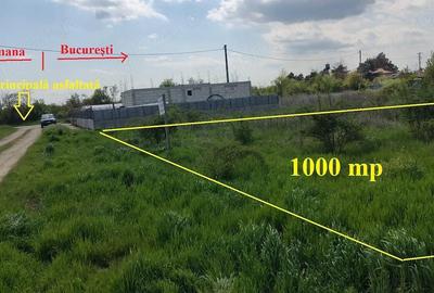 Teren de 1000 mp, în Adunații-Copăceni - 3