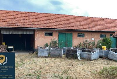 Casă + teren uriaș Casă + teren uriaș - 6