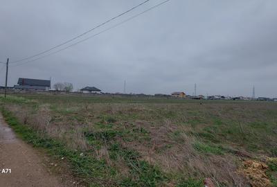 Teren Construcții intravilan de 5808 mp, în Săbăreni - 11
