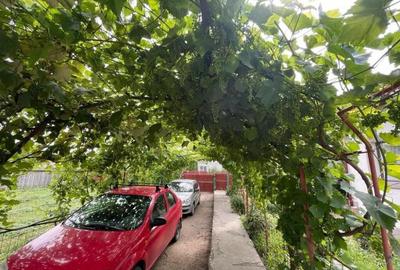 Casă cu 4 camere cu Teren 1800 Mp în Merei - 9