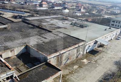 Spatiu industrial, 9500 mp construiti si 25000 mp teren, zon - 2