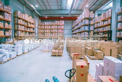 Spațiu industrial, de 2,200 mp, în Chitila - 5