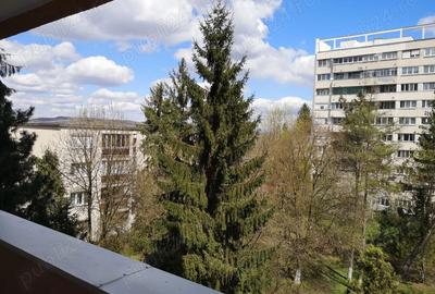 Inchiriez apartament 2 camere decomandat Aleea Carpati - 3