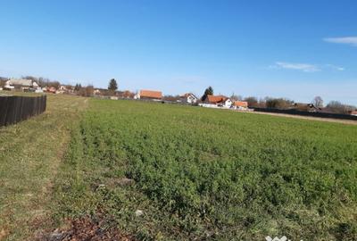 Teren de 2325 mp, în Triaj - 4