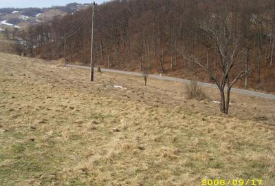 Teren intravilan Rosia, 12 000 mp, cu proiect aprobat. Comision 0. - 11