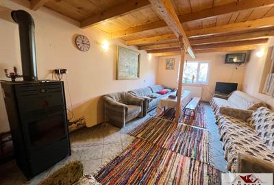 Casa de vacanta cu balta de peste de vanzare in Glogovet (Valea Lunga) - Blaj - 6