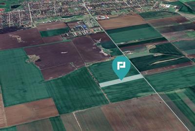 Teren 30.000 mp cu acces asfaltat - Peciu Nou - 4