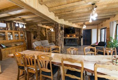 Casa de vacanta sau rezidentiala cu lac si ciubar Nucsoara-Arges - 11