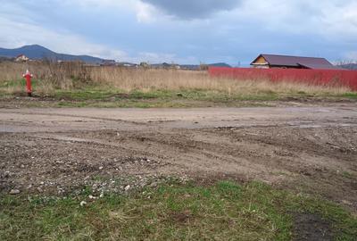 Spațiu comercial, în Hărman - 13