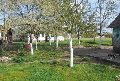 Casă cu 2 camere cu Teren 2870 Mp în Central - 2