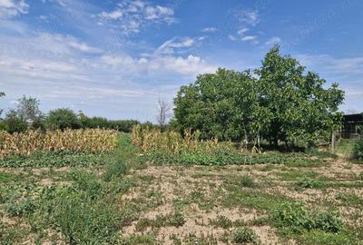 Casa de vanzare comuna ileana Casa de vanzare comuna ileana - 9