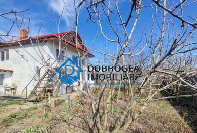 CATALOI - CASA P+E ,6 CAMERE ,TEREN 800 MP - 21