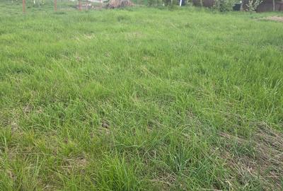 Teren Construcții intravilan de 400 mp, în Zăvoi - 5