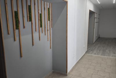 Hala depozitare sau mica productie, zona Zizinului, 400mp - 9