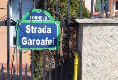 Teren în Cornetu - 3