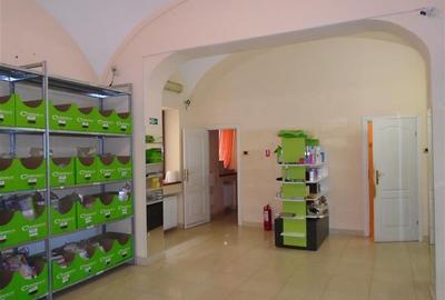 Spatiu comercial ultracentral - 3