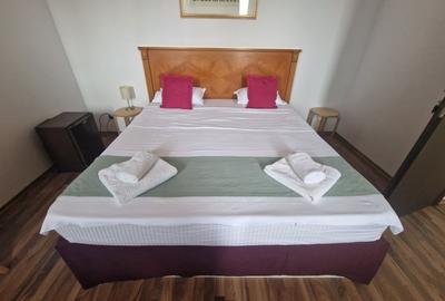 VILA 14 CAMERE, 14 BAI ZONA ROND GEORGE COSBUC, ACTUAL AIRBNB- BIROURI, OCAZIE - 5