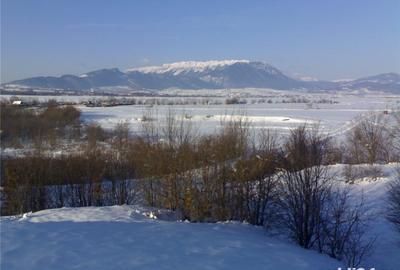 Teren de 10000 mp, în Glăjărie - 1