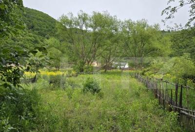 Teren de 509 mp, în Ciucea