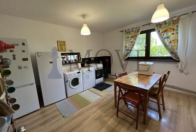 BELCIUGATELE- Casă de vacanță sau locuință permanentă - 4