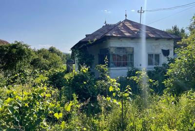 Casă cu 3 camere în Central - 7