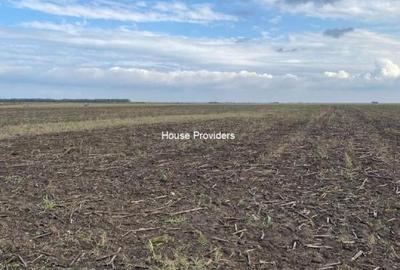 Vânzare teren extravilan 7500 mp, Berceni, Ilfov Vânzare teren extravilan 7500 mp, Berceni, Ilfov - 2