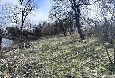 Spațiu comercial, în Central - 5