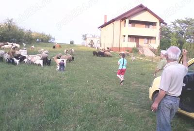 Teren de 4000 mp, în Central - 6