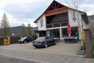 Spațiu comercial, de 370 mp, în Falcău - 6