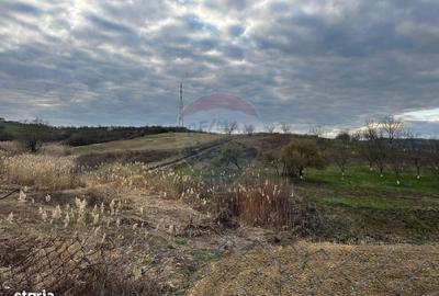 Spațiu comercial, în Copalnic - 4